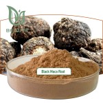 Black Maca Powder Supplier - High Quality 10:1 Extract Root Powder