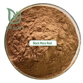 Black Maca Powder Supplier - High Quality 10:1 Extract Root Powder