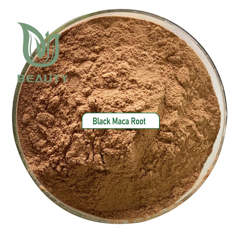 Black Maca Powder Supplier - High Quality 10:1 Extract Root Powder