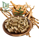 Tongkat Ali Powder Supplier - Customized 200:1 Concentrated Root Extract