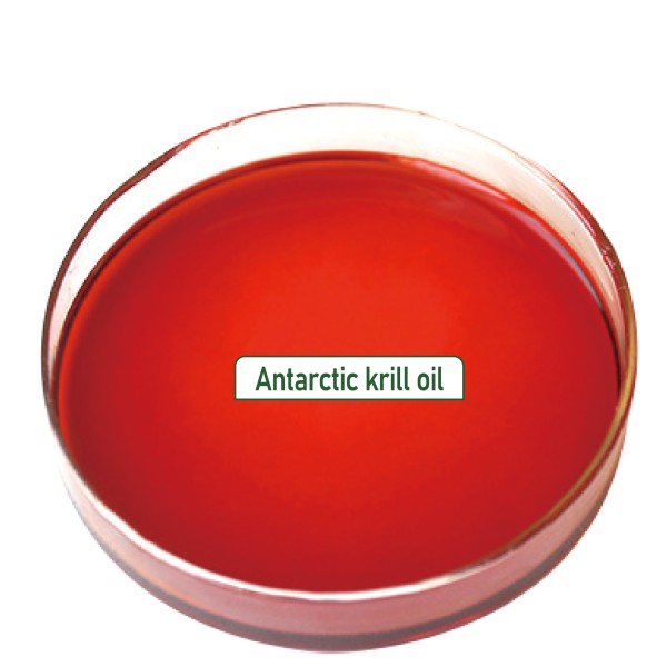 Krill Oil Supplier - OEM Antarctic 500mg Phospholipid Omega-3