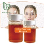 4-Butyl Resorcinol Liposome Supplier - Cosmetic Skin Whitening Efficient Absorption