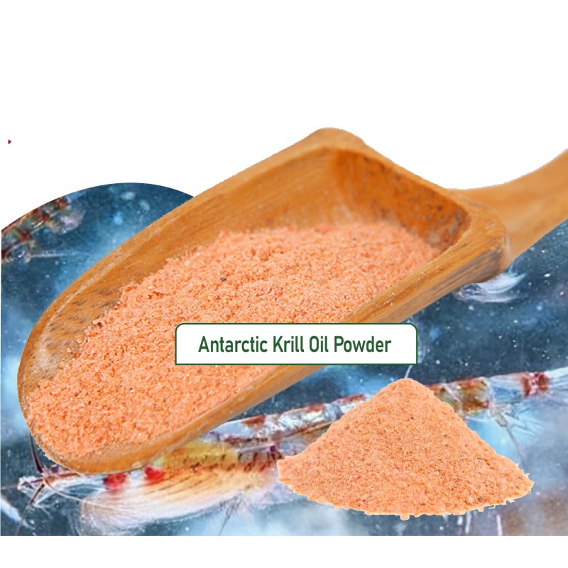 Krill Oil Powder Factory - OEM Antarctic 500mg Omega-3 Astaxanthin
