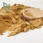 Water Lily Extract Factory - OEM Pure Nymphaea Alba 10:1 Food Grade
