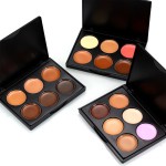 Blush Palette Manufacturer - OEM 6 Color Waterproof