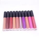 Lip Gloss Factory - OEM Glitter Shiny Custom Logo