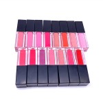 Lip Gloss Manufacturer - OEM Red Nude Waterproof Matte