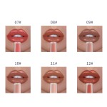 Matte Lipgloss Manufacturer - OEM Nudes Tubes Samples