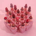 Lipstick Manufacturer - OEM Nude Shiny Waterproof Matte