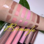 Lip Gloss Supplier - OEM Nude Organic Clear Vendor