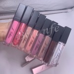 Lip Gloss Supplier - OEM LED Light Mirror Glossy