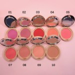 Blush Palette Supplier - OEM Apricot Package Vegan Powder