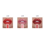 Matte Lipgloss Manufacturer - OEM Nudes Tubes Samples