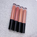 Lip Gloss Factory - OEM Glitter Shiny Custom Logo