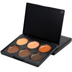 Blush Palette Manufacturer - OEM 6 Color Waterproof
