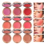 Blush Palette Supplier - OEM Apricot Package Vegan Powder