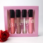 Lipgloss Set Supplier - OEM 12 Colors Organic