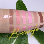 Lip Gloss Supplier - OEM Nude Organic Clear Vendor