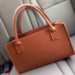 Makeup Organizer Manufacturer - OEM Transparent Travel Tote