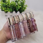 Lip Gloss Supplier - OEM 70 Colors Shimmer Liquid
