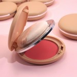 Blush Palette Supplier - OEM Apricot Package Vegan Powder