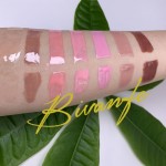Lip Gloss Supplier - OEM Nude Organic Clear Vendor