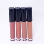 Liquid Lipstick Factory - OEM Waterproof Sexy Fashion