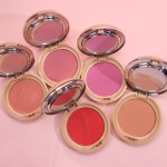 Blush Palette Supplier - OEM Apricot Package Vegan Powder