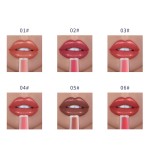 Matte Lipgloss Manufacturer - OEM Nudes Tubes Samples