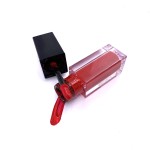 Lip Gloss Manufacturer - OEM Red Nude Waterproof Matte