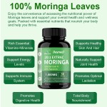 Moringa Capsules Supplier - Winstown Antioxidant Non-GMO Gluten Free