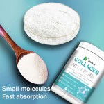Collagen Powder Supplier - Wins Town Multi Collagen Burn Metabolism