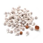 Cooling Patches Factory - T3 Factory OEM Physical Cooling Cold