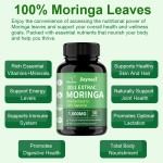 Moringa Capsules Manufacturer - Haccp Function Food Dietary Supplement