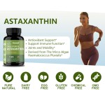Astaxanthin Capsules Supplier - Wholesale Pure Antarctic Krill Oil