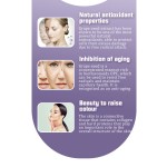 Grape Seed Capsules Supplier - N16 Factory OEM Spot Herbal Soft Capsules