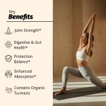 Black Ginger Capsules Supplier - High Quality Turmeric Curcumin Joint