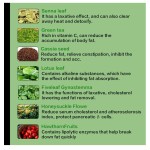 Lotus Leaf Tea Supplier - Anti-detox Summer Clear Dark Tea