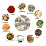 Weight Loss Jelly Manufacturer - Enzyme Collagen Slimming Custom Fat Burner