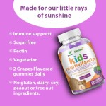 Kids Multivitamin Gummies Supplier - Wins Town Children Brain Supplement