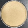 Shandong Yihao Biotechnology Co., Ltd.