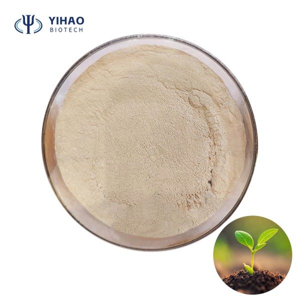 Shorter Lead Time Bacillus Subtilis for Plant Disease Prevention Bacillus Laterosporus Fertilizer Hydroponic