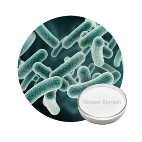 Lactobacillus Paracasei Probiotic Strain