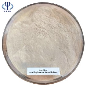 Factory Price Bacillus Subtilis Probiotics 50 Billion Bacteria Strain to Reduce Ammonia Nitrogen & Nitrite in Wastewater