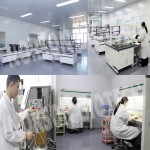 Bifidobacterium Adolescentis Probiotic Strain