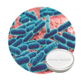 Lactobacillus Crispatus  Probiotic Strain