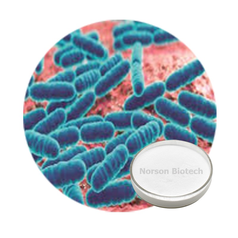 Lactobacillus Crispatus  Probiotic Strain