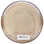 China Manufacturer Feed Additive Neutral Protease  Industrial Enzymes for Animal Feed
