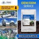 Flexible Production Bacillus Megaterium Chemical Raw Materials Fertility Booster