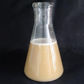 Factory Price Bacillus Subtilis Probiotics 50 Billion Bacteria Strain for Reducing Ammonia Nitrogen & Nitrite Wastewater